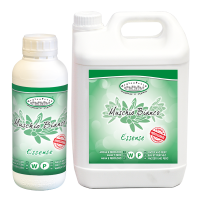 Essence Muschio Bianco