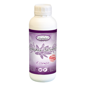 Essence Orchidea Selvatica - 1L
